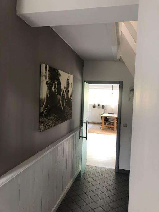 Grande Maison Cozy, Sud, 15 Min Spa Francorchamps تو المظهر الخارجي الصورة