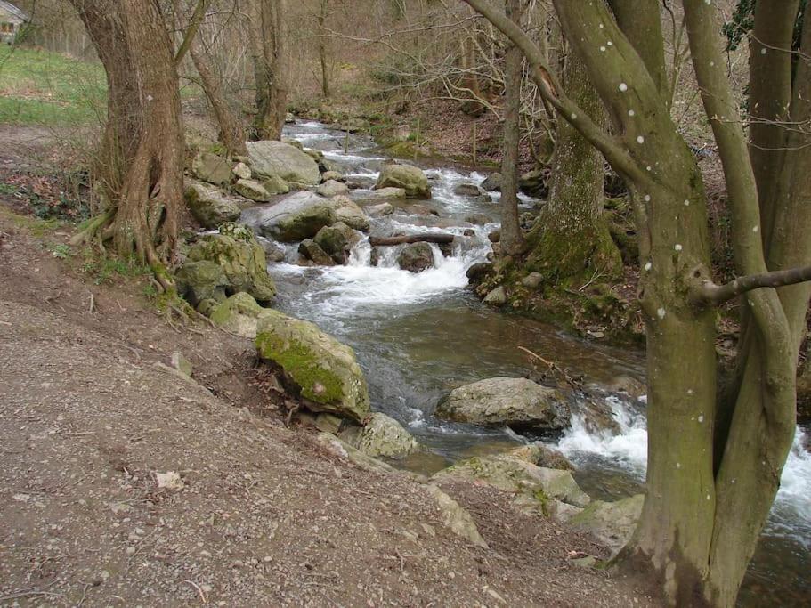 Grande Maison Cozy, Sud, 15 Min Spa Francorchamps تو المظهر الخارجي الصورة